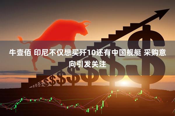 牛壹佰 印尼不仅想买歼10还有中国舰艇 采购意向引发关注