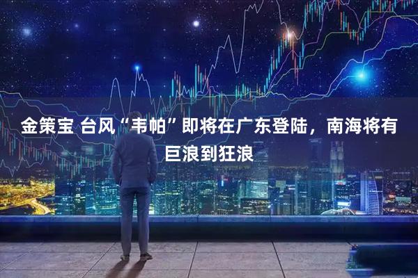 金策宝 台风“韦帕”即将在广东登陆，南海将有巨浪到狂浪