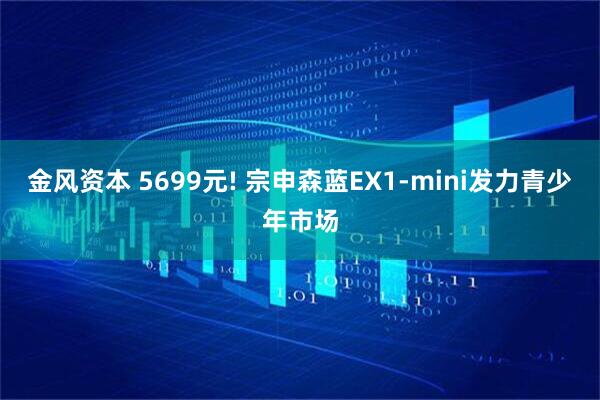 金风资本 5699元! 宗申森蓝EX1-mini发力青少年市场