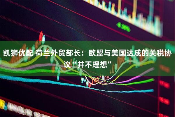 凯狮优配 荷兰外贸部长：欧盟与美国达成的关税协议“并不理想”