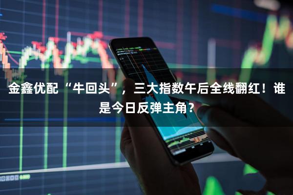 金鑫优配 “牛回头”，三大指数午后全线翻红！谁是今日反弹主角？