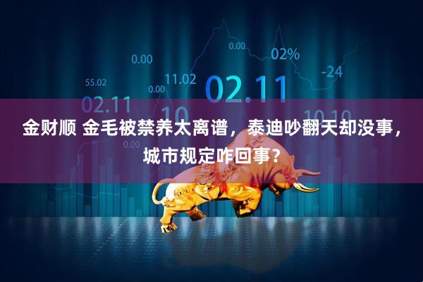 金财顺 金毛被禁养太离谱，泰迪吵翻天却没事，城市规定咋回事？