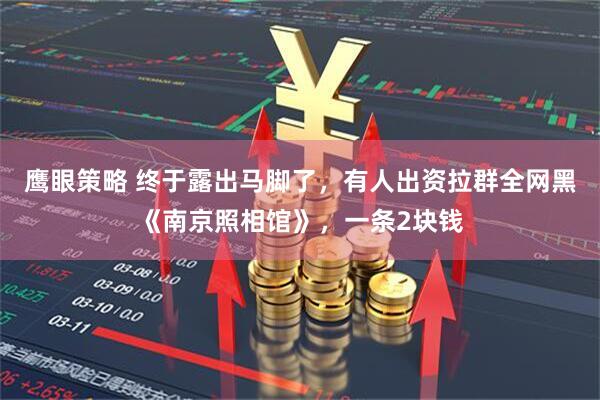 鹰眼策略 终于露出马脚了，有人出资拉群全网黑《南京照相馆》，一条2块钱