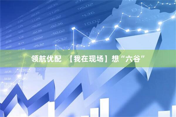 领航优配  【我在现场】想“六谷”