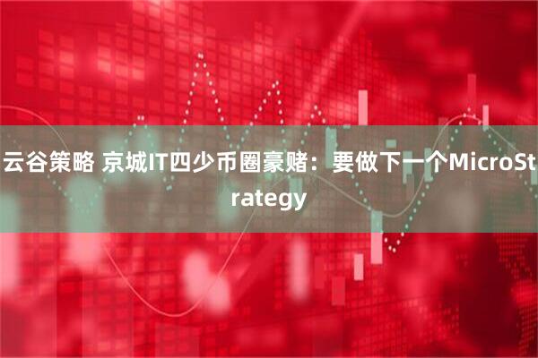 云谷策略 京城IT四少币圈豪赌：要做下一个MicroStrategy