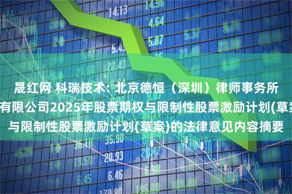 晟红网 科瑞技术: 北京德恒（深圳）律师事务所关于深圳科瑞技术股份有限公司2025年股票期权与限制性股票激励计划(草案)的法律意见内容摘要