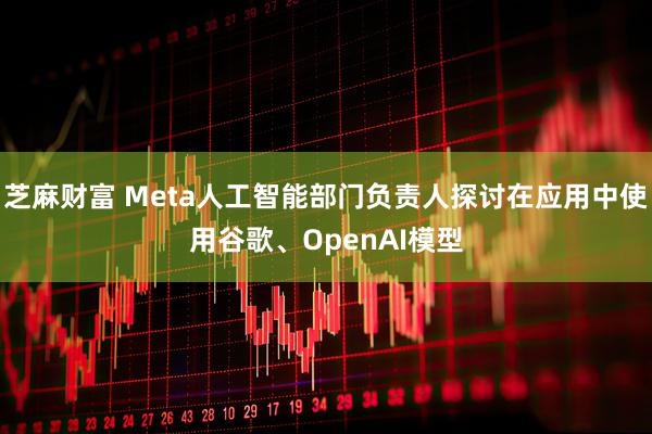 芝麻财富 Meta人工智能部门负责人探讨在应用中使用谷歌、OpenAI模型