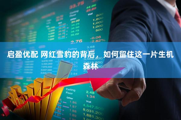 启盈优配 网红雪豹的背后，如何留住这一片生机森林